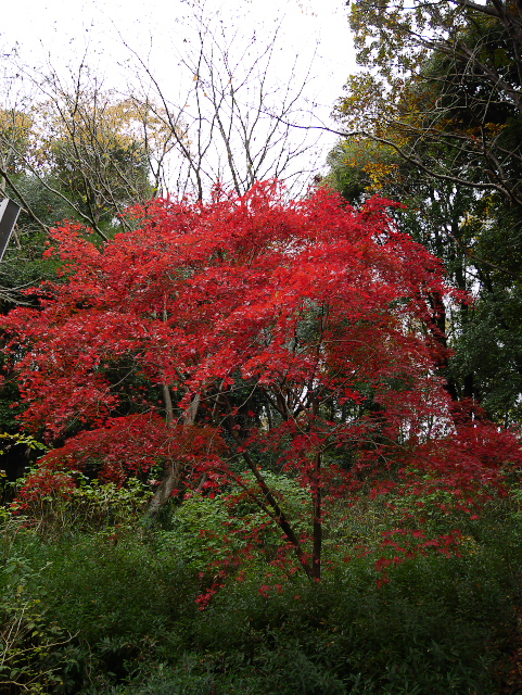 c0165640_20443512.jpg