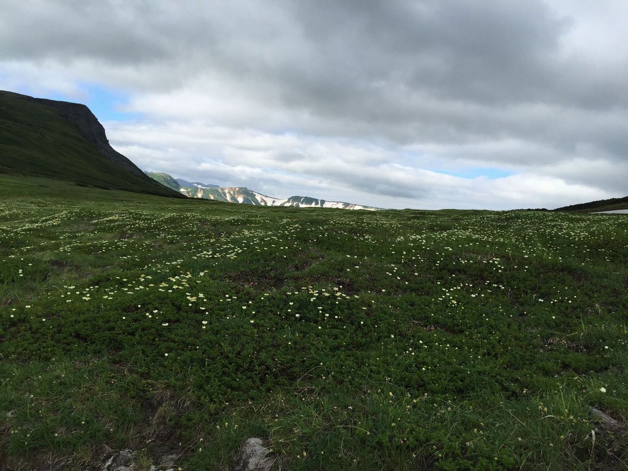 b0187142_0531336.jpg