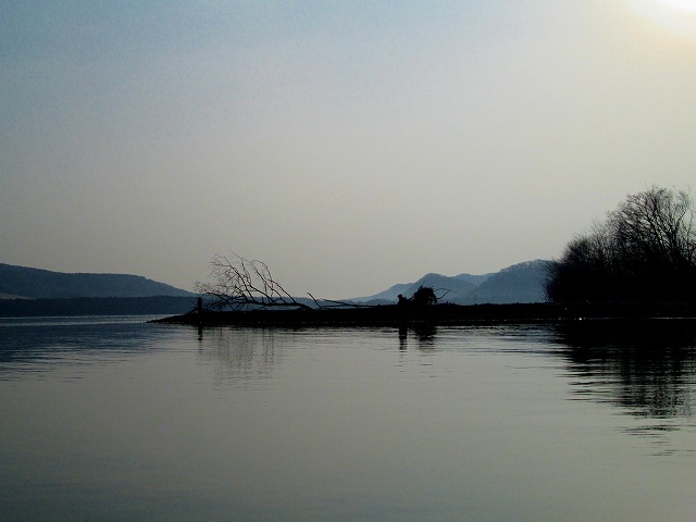 d0075843_1139203.jpg