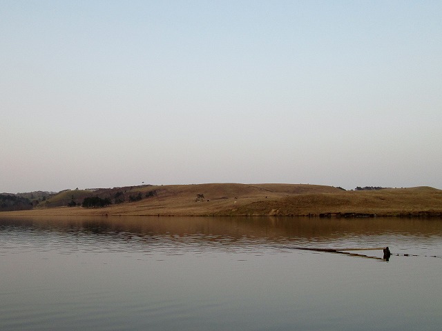 d0075843_1204542.jpg