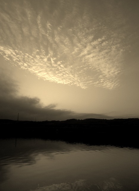 d0075843_12145999.jpg