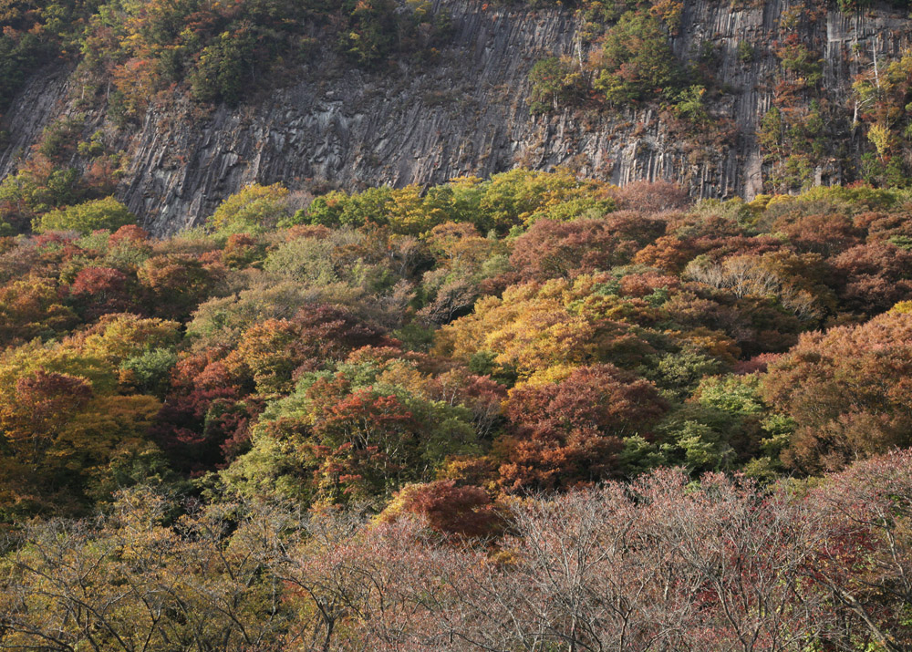 曽爾村　屏風岩　紅葉_c0108146_22241594.jpg