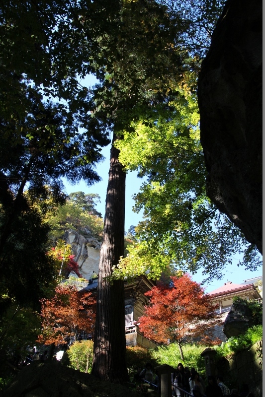 四寺廻廊の紅葉　立石寺／仁王門　＠山形県_f0048546_10270213.jpg