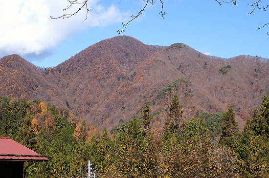 f0114346_122369.jpg