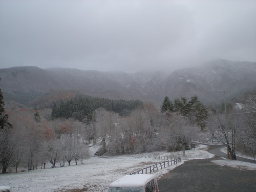 雪_b0365347_835299.jpg