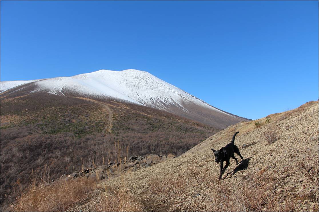 犬と一緒なら大丈夫！_b0245048_7133997.jpg