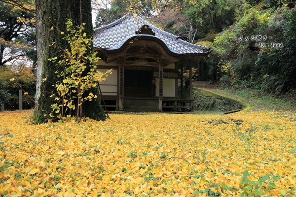 c0332548_19252532.jpg