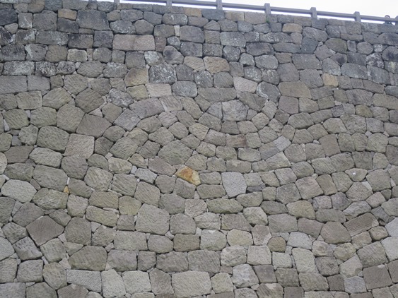 f0202151_2232244.jpg
