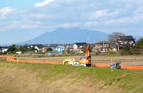 １１月　利根川下流域　見学行（１）_f0197754_23151411.jpg