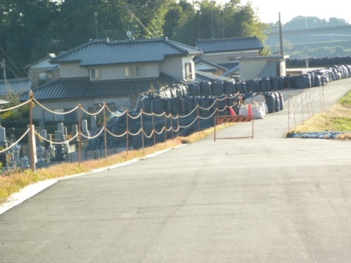 11月 利根川下流域 見学行(1)_f0197754_23281771.jpg