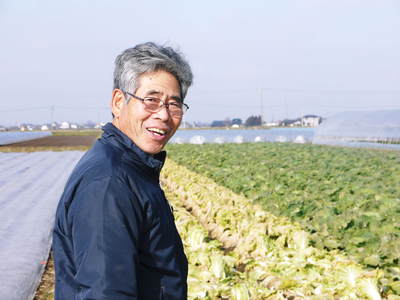 有機栽培キャベツ 定植後の様子とその後の成長_a0254656_18284986.jpg