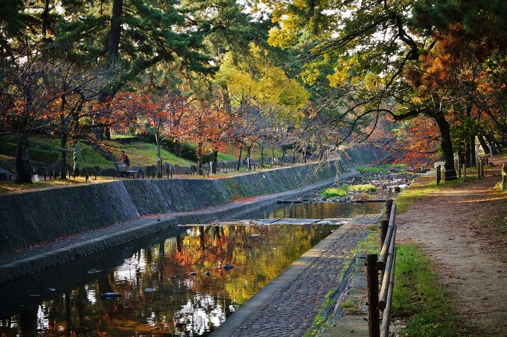 晩秋の夙川公園_b0063958_6285615.jpg