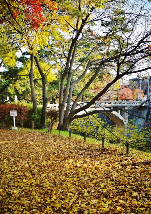 晩秋の夙川公園_b0063958_631047.jpg