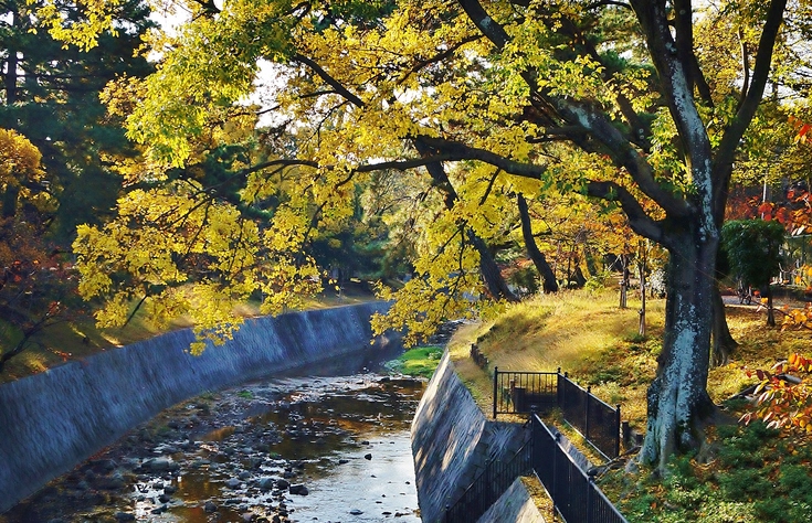 晩秋の夙川公園_b0063958_632810.jpg