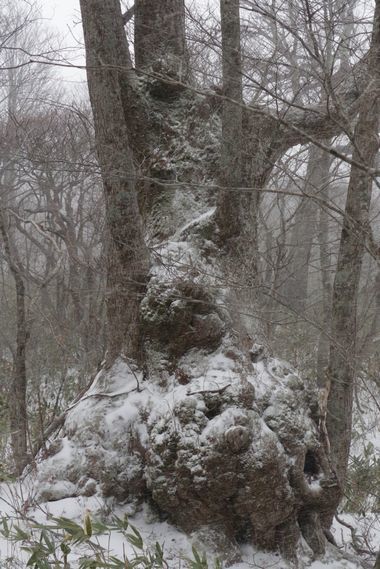 船形山も冬山登山の始まり_c0294658_21275206.jpg