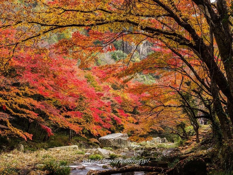 豪渓の紅葉２０１６_f0368258_20141330.jpg