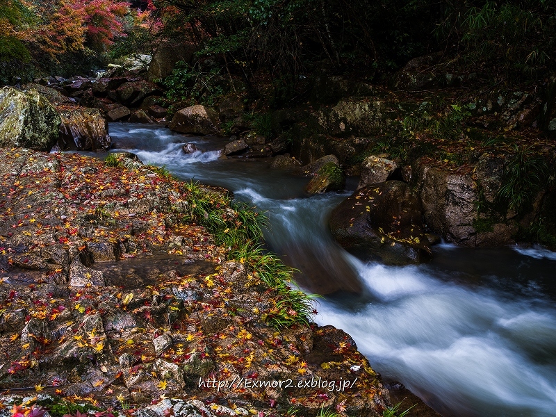 豪渓の紅葉２０１６_f0368258_20340020.jpg