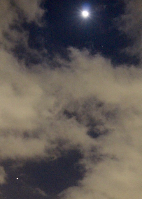 a0248459_14570146.jpg