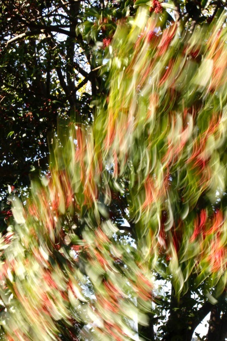 a0248459_15021436.jpg