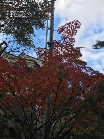 b0324461_08315383.jpg