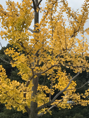 b0324461_08315790.jpg