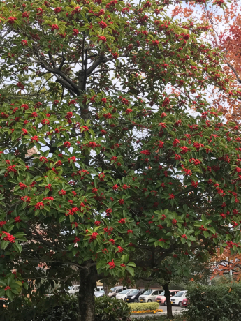 b0324461_08315829.jpg