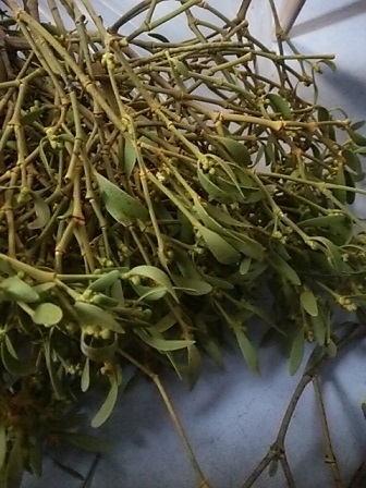 c0172261_004847.jpg