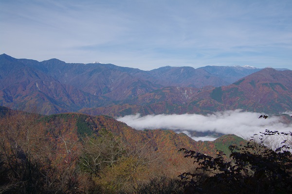 d0164761_9142434.jpg