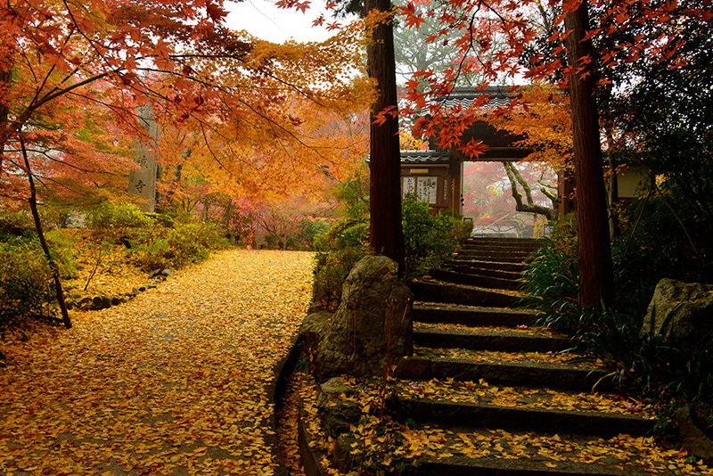 亀岡神蔵寺 紅葉 : ちょっとそこまで