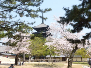 e0362171_12442115.jpg