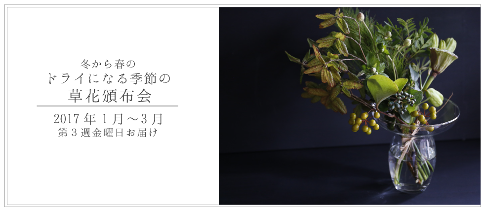 f0079271_16535113.png