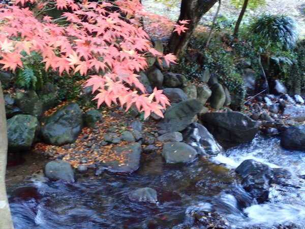 熱海梅園～西熱海別荘地散策_c0286574_9304615.jpg