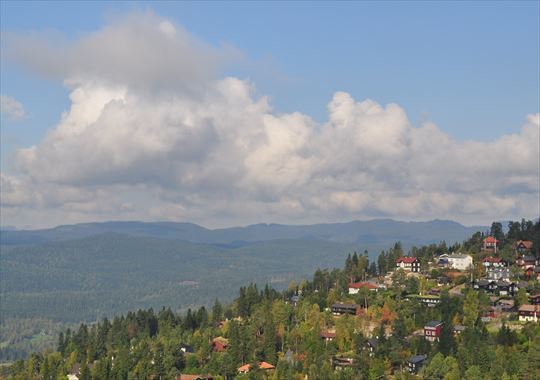 b0346378_20175632.jpg