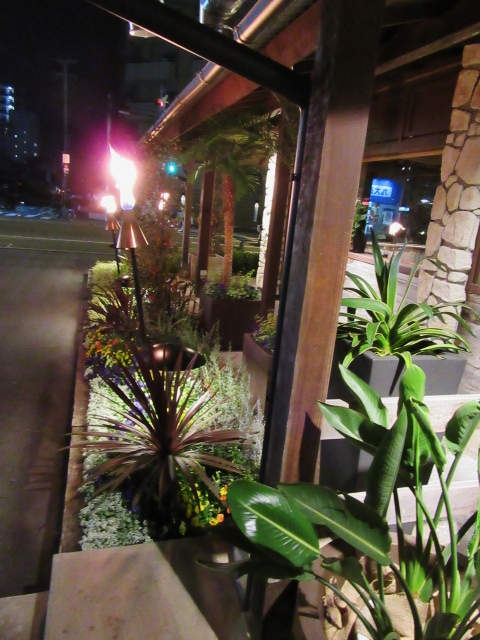 年末の・・・本日の休日。。。(^^♪_d0152280_7264057.jpg