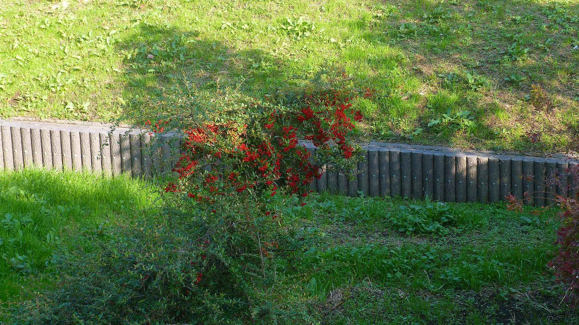 a0185081_10453036.jpg