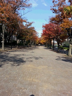 c0189683_1492278.jpg