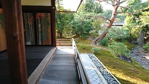 若冲　～相国寺承天閣美術館・京都市美術館～_d0098183_10401137.jpg