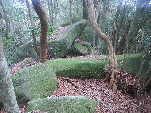 f0372285_22163964.jpg