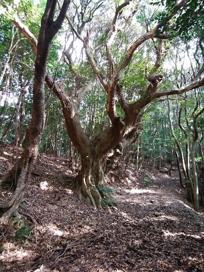 f0372285_22170030.jpg