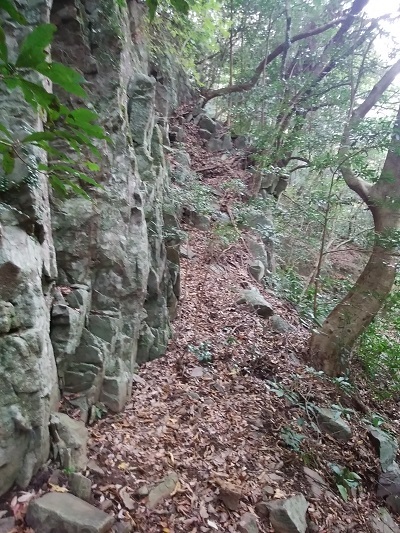 f0372285_22171122.jpg