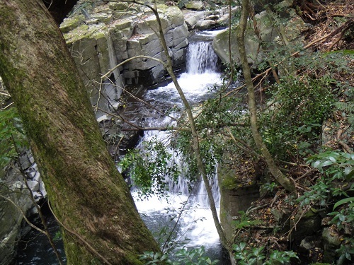 f0372285_22180759.jpg