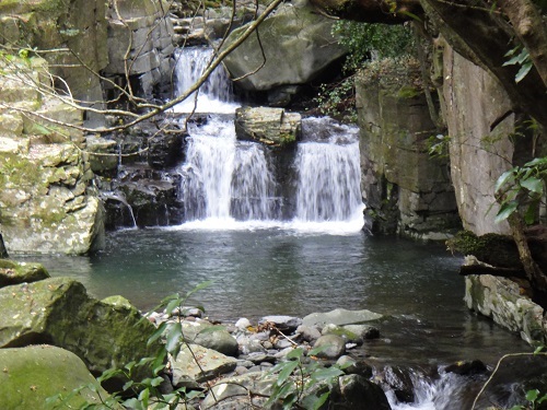 f0372285_22195051.jpg