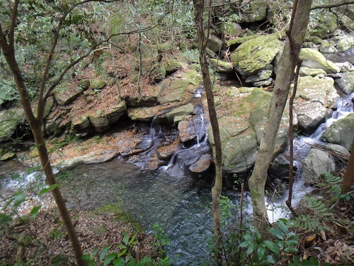 f0372285_22202148.jpg