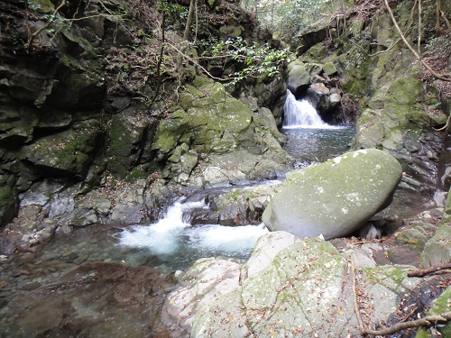 f0372285_22202844.jpg