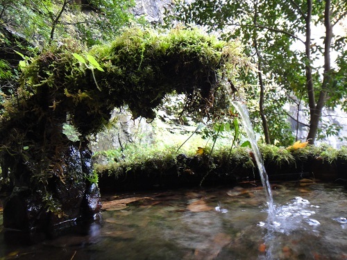 f0372285_22205041.jpg