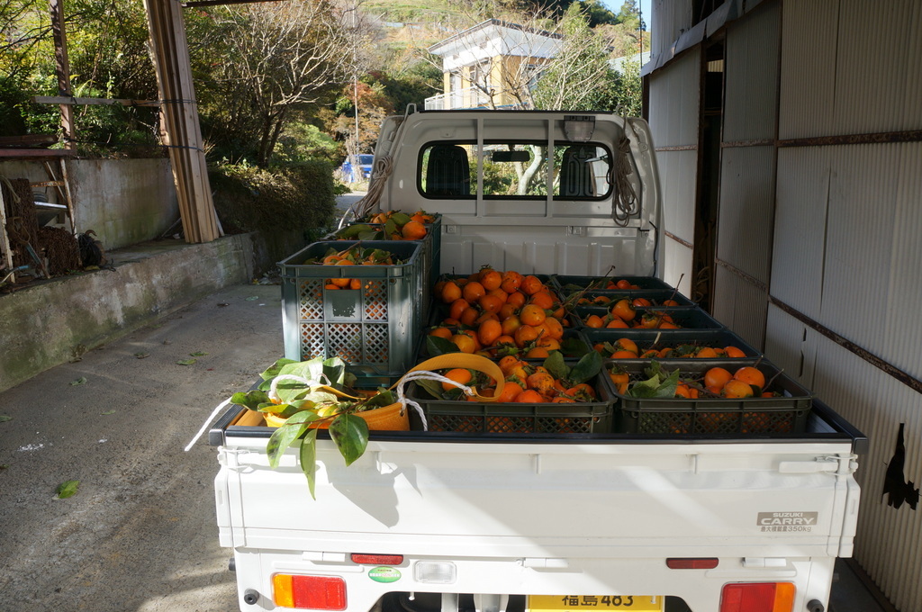 伊達保原での休日。_c0180686_13142876.jpg