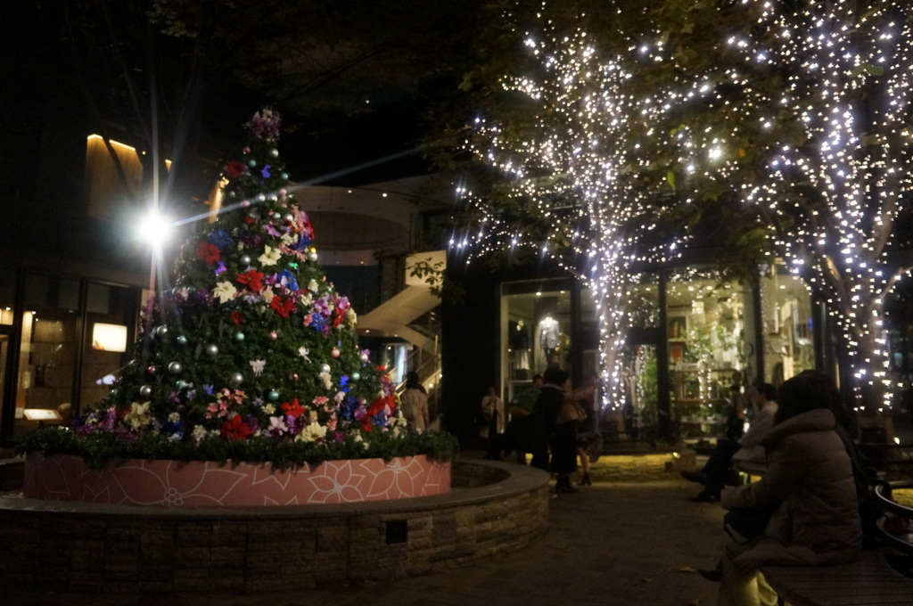 裏を返す、良い店には足が向きます。_c0180686_15185136.jpg