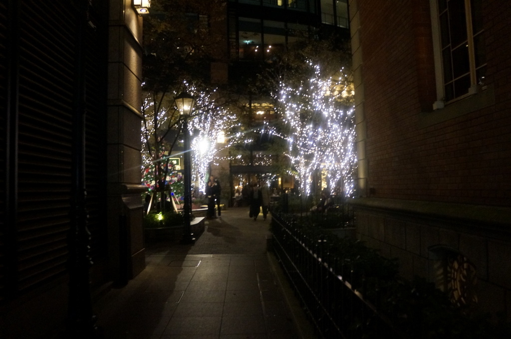 裏を返す、良い店には足が向きます。_c0180686_15191644.jpg