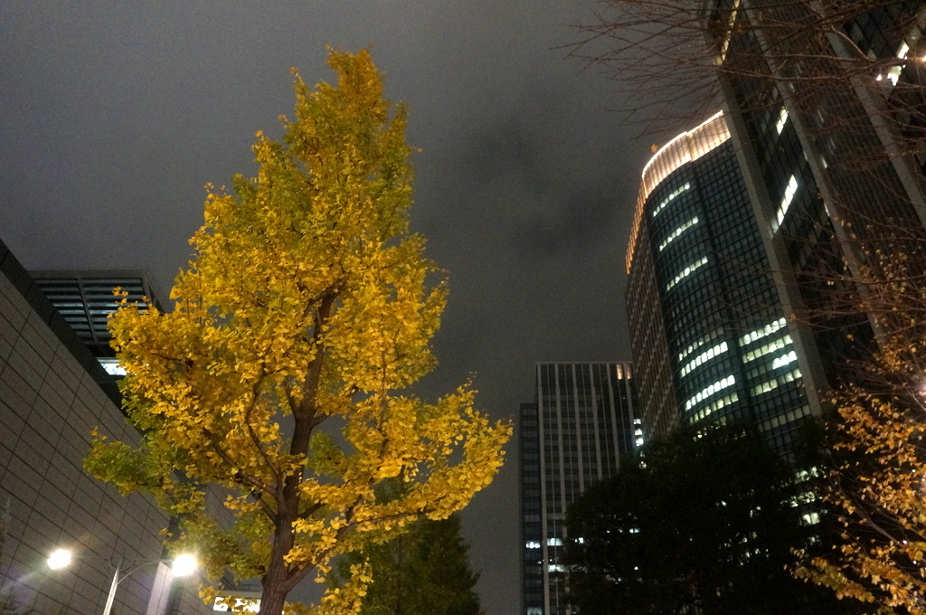 裏を返す、良い店には足が向きます。_c0180686_15201264.jpg