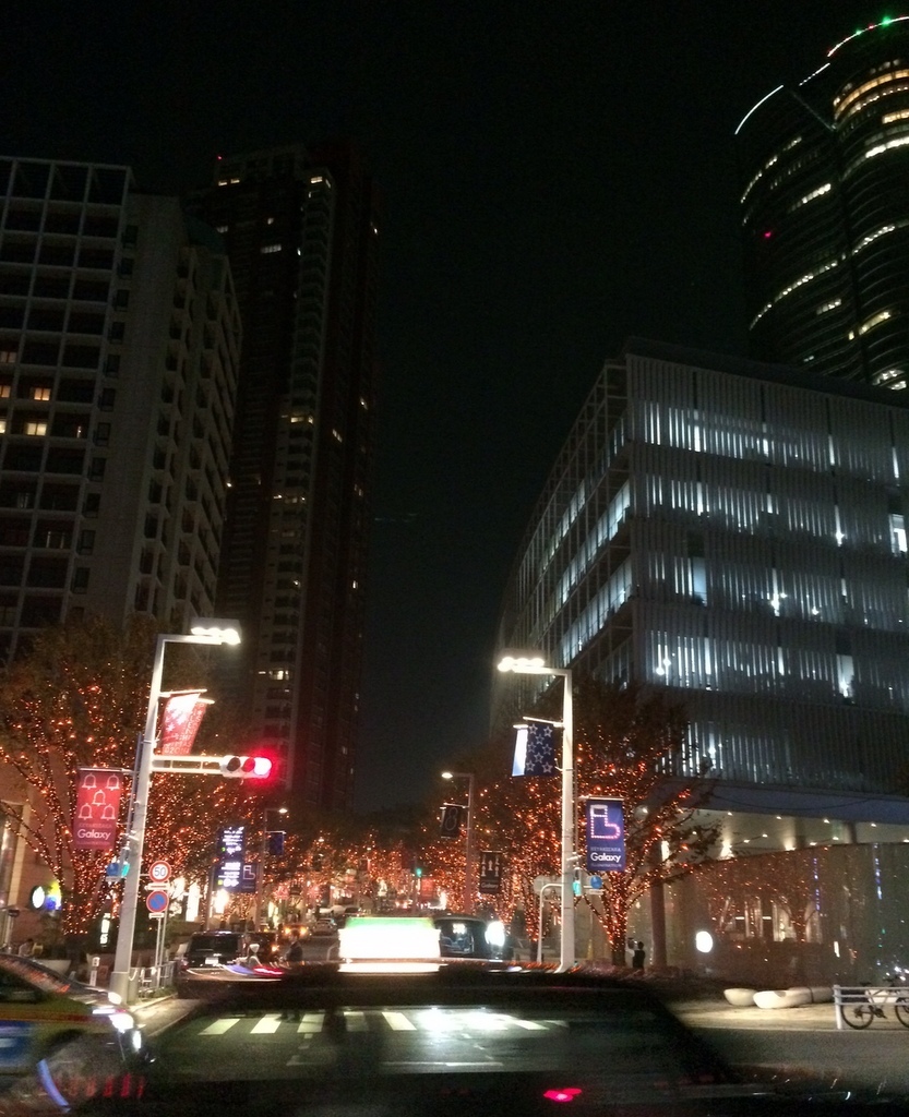 c0180686_15330450.jpg